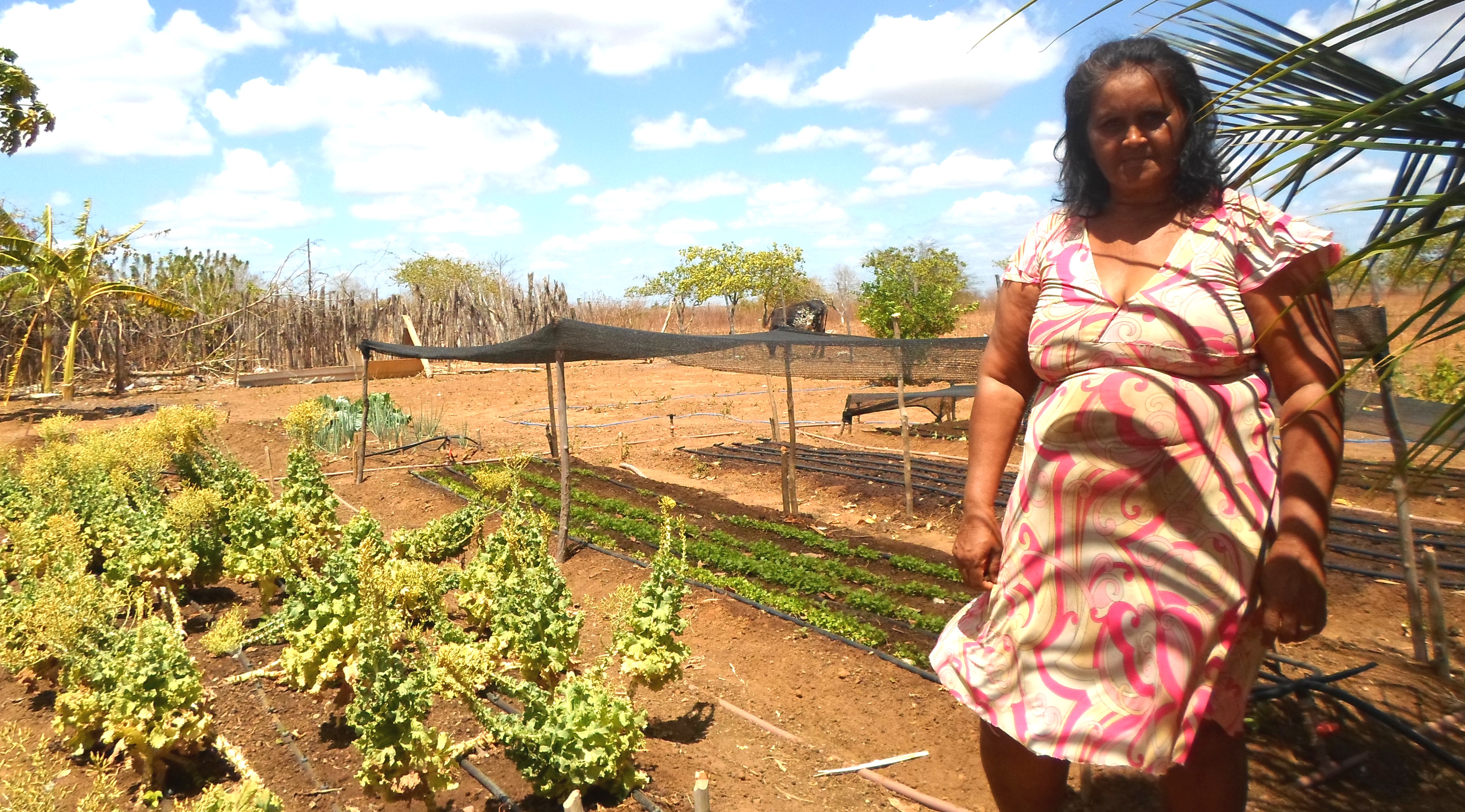 Quintal Agroecologico de Monte Alegre.JPG